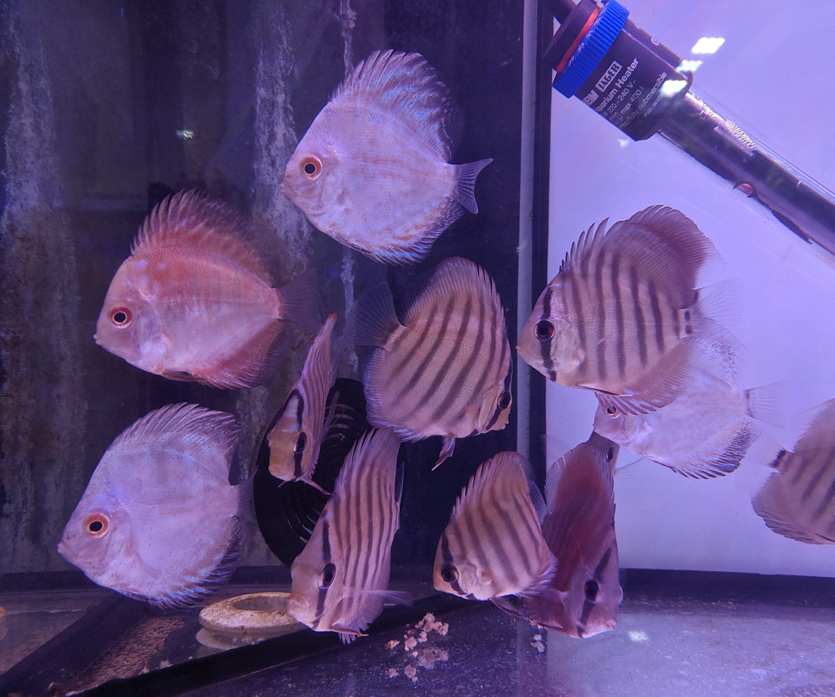 75279390 956253764742577 5790873090590244864 n