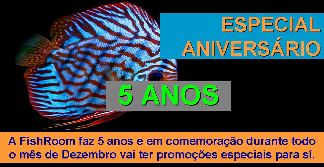 ESPECIAL ANIVERSÁRIO
