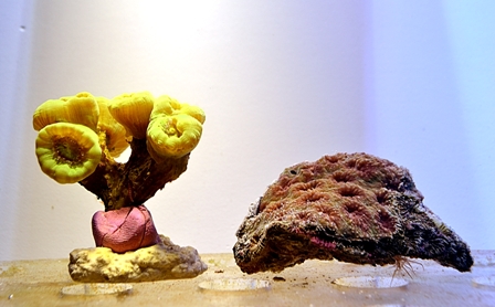 Promo LPS 09 12 2014